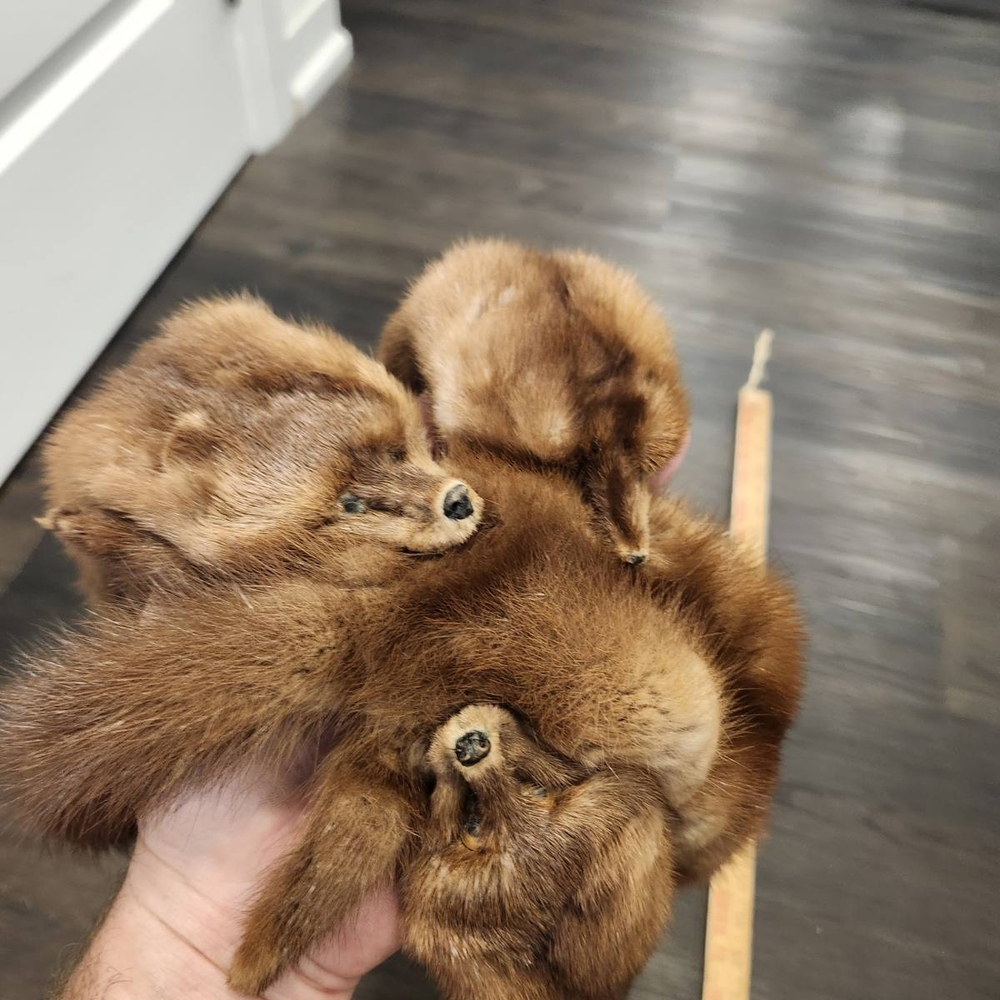 Vintage Brown Fur Stole Mink